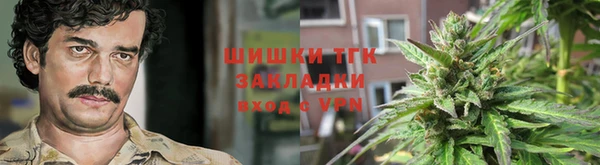 крисы Лагань