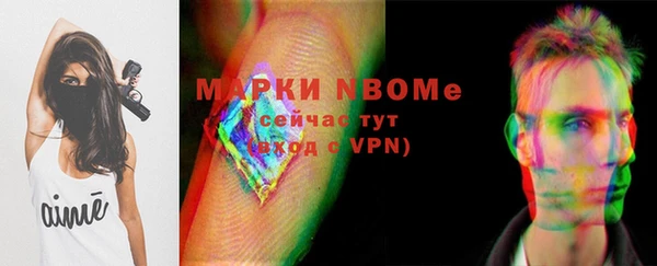 крисы Лагань