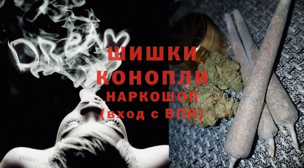 крисы Лагань
