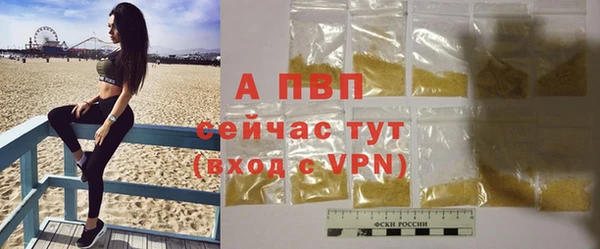 крисы Лагань