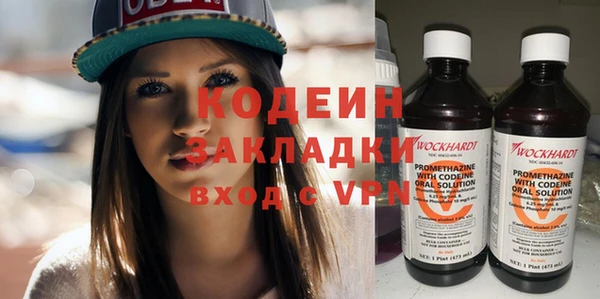 крисы Лагань